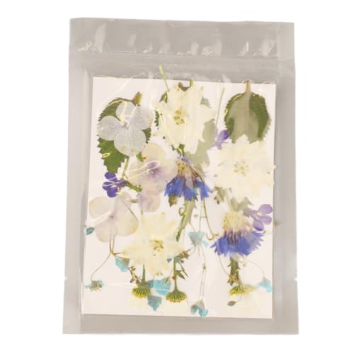 Flores prensadas surtidas para manualidades miniatura 2