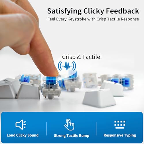 Image of Nadadora 2 PCS Blue Mechanical Keyboard Switches, Dustproof 3 Pin Clicky Tactile MX Compatible Key Switches, Transparent Housing for Switch Tester, Keyboard Testing & Fidget Clicker