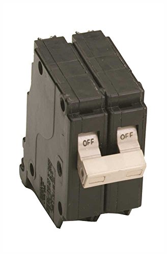 Eaton CH 100A Double-Pole Standard Trip Circuit Breaker - 1 Each