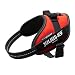 IDC Powerharness, Size: S/Mini, Red