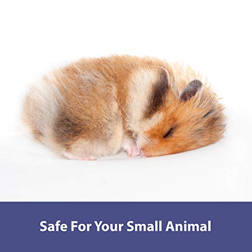 Kaytee 100213646 Clean & Cozy Natural Small Animal Pet Bedding For Pet Guinea Pigs, Rabbits thumb #4