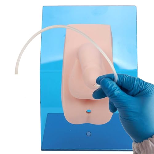 Modèle de cathétérisme urinaire AMITD avec sac pour formation médicale - 8