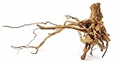 Lifegard Spider Wood/Cuckoo Root-Approximate Size 7'-15', R480073, Brown