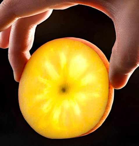 青森産 【蜜女王 りんご 高徳 こうとく】 約２.８kg (14-10個) 当店化粧箱 産地からお手元へ 【鎌田青果／蜜入り保証】のサムネイル