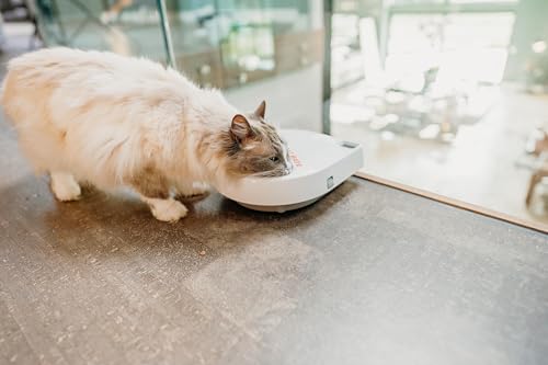 Cat Mate C300 Automatischer 3-Mahlzeiten-Futterautomat mit Digitalem Timer (366) – Für Katzen oder Kleine Hunde, Für Nass- und Trockenfutter, Mahlzeiten Bis zu 330 g Pro Stück, Weiß