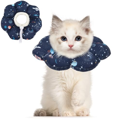 Cones for Cats The 15 best products compared Wild Explained