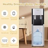 LFfwynog Bottom Loading Water Dispenser with Dual Ice & Hot Water Outlets Fast Cooling, Quick Heating, Perfect for Home or Office Black - Image 3