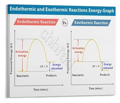 Chemical Reactions Poster Comparing Endothermic and Exothermic Processes Science Educational Wall Chart for Students(Unframed,16