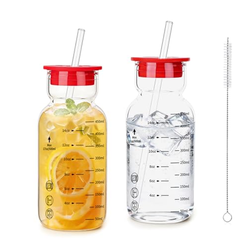 Elitrivox 16oz Glass Water Bottle with Straw, Glass Tumbler Capacity Mark Juice Bottles Iced Coffee Cups Leak Proof BPA Free Glass for Car Cup Holder, Office, Travel [2 Pack]