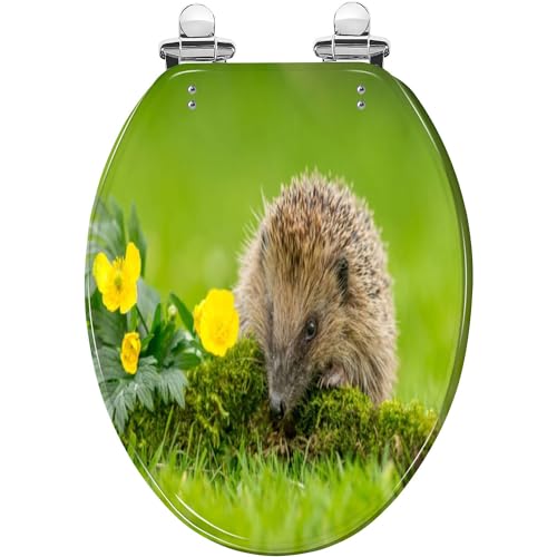 Elongated Toilet Seat Zebras embracing Af Resin Material Slow Quiet