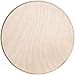 Walnut Hollow Baltic Birch Circle Plaque, 6 by 6-Inch