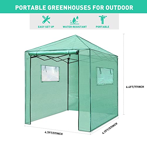 Pexfix 6'X 5' Portable Walk-In Greenhouse Easy Setup,Indoor Outdoor Greenhouse Garden Green Houses Instant Pop-Up Greenhouse,2 Roll-Up Mesh Windows And Roll-Up Zipper Door,Green #TOP4