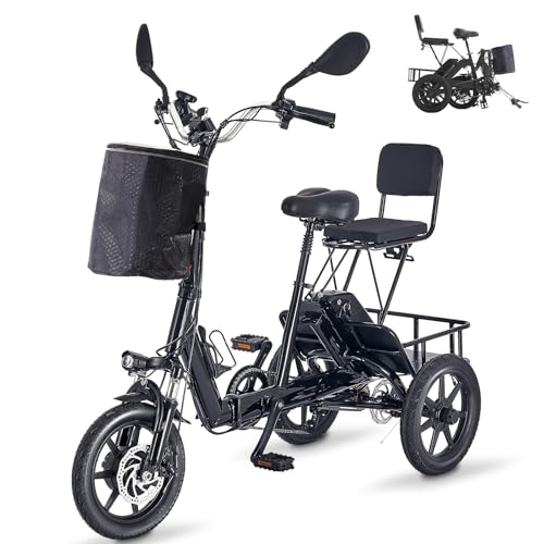 Electric Trike Bike with 500W Motor and 2 Seats