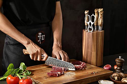HEZHEN 7 Pieces Kitchen Knife Set with Block,67 Layers Damascus Steel Chef Knife Set, Knife Block Set for Chefs and Home Cooking - Image 8