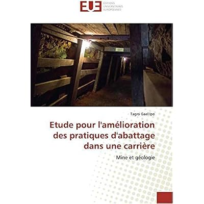 Etude pour l'am&eacute;lioration des pratiques d'abattage dans une carri&egrave;re