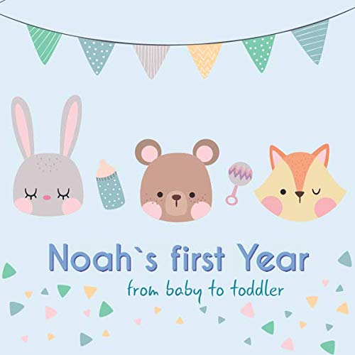Noah`s first year - from baby to toddler: Baby Memory Book