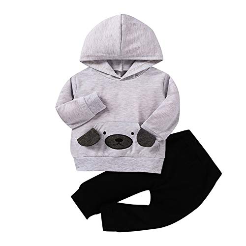 YOOJIA Toddler Baby Boy Animal Style Long Sleeve Hoodie Tops Sweatsuit Pants Set Outfit Grey 2-3