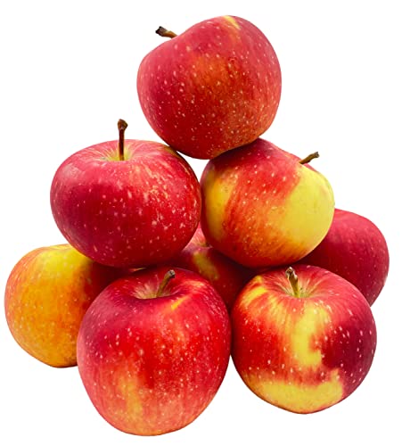 Bleichhof Äpfel Gräfin Goldach Allergikerfreundlich - Süß-Säuerliche Sorte aus der Pfalz (3kg) Neue Ernte