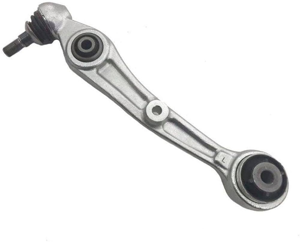 チャンプ  41NtaHbbH+L.jpg_BO30,255,255,