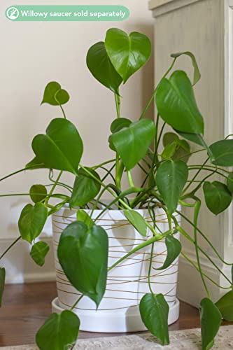 Willowy 12 Inch Ceramic Pot - Matte White With Metallic Gold Stripes - Drainage Plug Included #TOP3