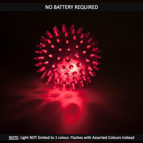 Petopedia 1 x LIGHT UP Dog Ball Thrower Dog Ball Launcher (46 cm) Long