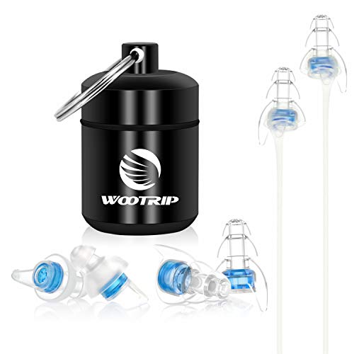 Best Earplugs For Edm Concerts 10Reviewz