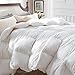 Globon Winter Down Comforter Queen Size,Heavyweight Duvet Insert for Clod Sleepers,Noiseless Soft Shell,with 8 Corner Tabs, White