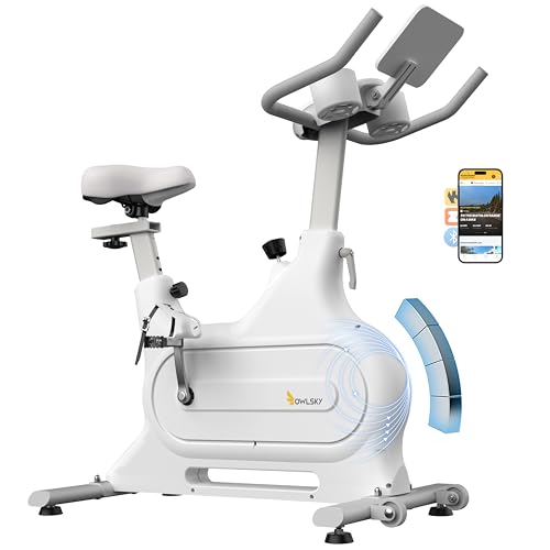 OWLSKY フィットネスバイク スピンバイク エアロバイク【アプリ連動/Zwift対応/静音マグネット式】無段階負荷調整 自宅トレーニング ダイエット器具 家庭用 室内バイク 連続120分対応 組立簡単 移動便利 大人からシニアまで 家族で使える (ホワ