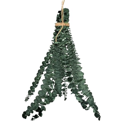 Dried Eucalyptus Bundles for Shower - Natural Hanging Shower Decor with Real Eucalyptus Leaves