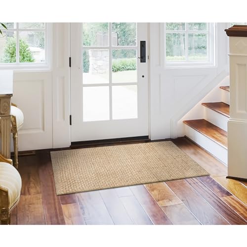 Liora Manne Playa Indoor Hand Woven Jute Durable Area Rug - Traditional Solid Casual Accent (Plain Natural) (2' x 3')