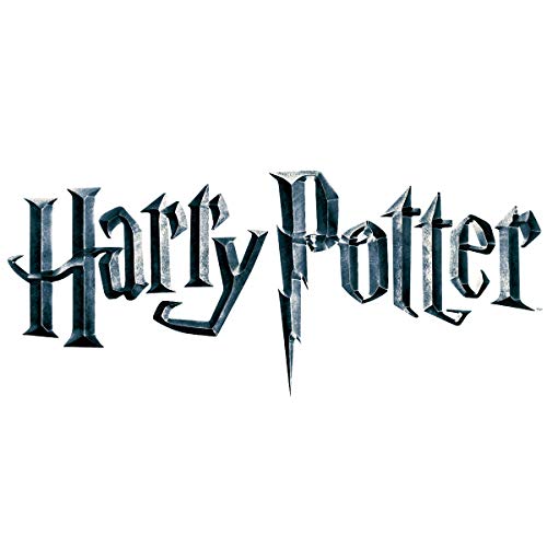 Harry Potter Hermione Varsity Gryffindor Quidditch Fantastic Pajama Holiday Nightgown4