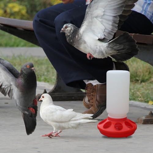 Porceosy Mangiatoia riutilizzabile per polli, 2