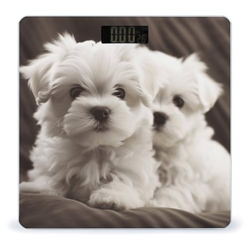 Báscula digital de baño con diseño cachorro Maltés miniatura 1