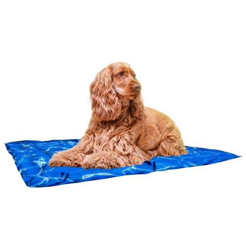 cama para perros schnauzer