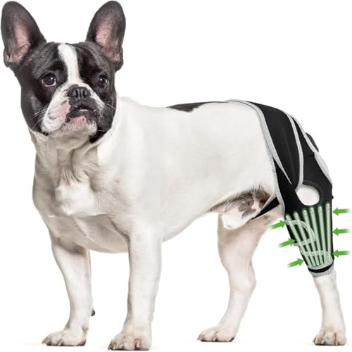 Image of Dog Knee Brace for Back Leg, Luxating Patella Brace for Extra Small Dogs with Reflective Material, Dog Leg Brace Front with 6 Metal Strips, Provide Strong Support, Relieve Pain, Promote Recovery XS