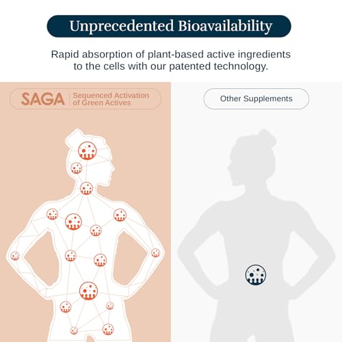 SAGA Organic Focus Shots | Contains Nootropics, Adaptogens, & Mushrooms - Bacopa, Ashwagandha, & Kava | High Bioavailability & Fast Onset | Primal Focus & Clarity | Chai Latte 2oz Shots (6-Pack) - Image 5