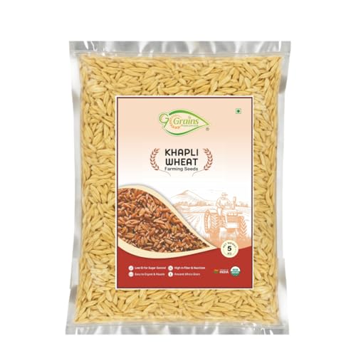 Image of Organic Khapli Wheat Grains Seeds (5Kgs) | Khapli Gehu Ka Seeds | For Farming, Sowing & Agriculture Use | Produce of India | 100% Natural & Non-GMO