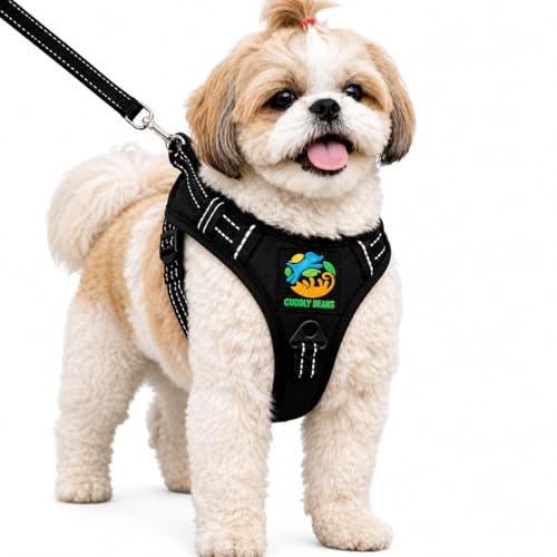 Image of Adjustable Padded Dog Harness with Leash | Comfortable Pet Walking Harness for Dogs | Black | XS | Suitable for Dogs 5-10 kg
