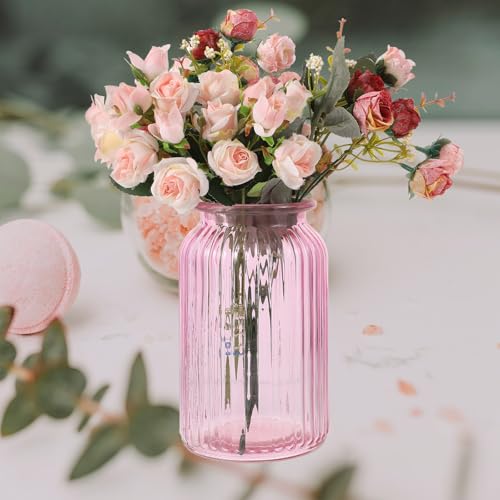 Jarrón de cristal y función para hidroponía decorativo rosa 7