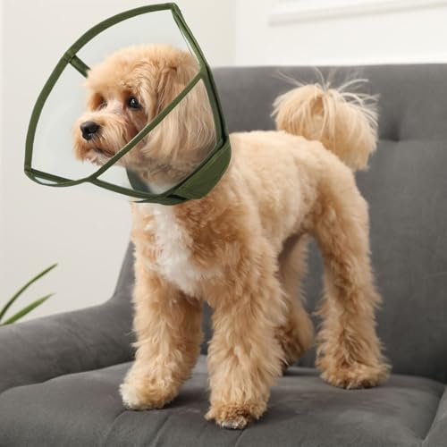 Hjumarayan Halskrause Hund - Transparenter Hundekragen Leckschutz Faltbarer Schutzkragen für die Genesung, Anti-Kratz Hundetrichter für Hunde nach OP, Armeegrün XL