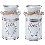 Vintage milchkanne, vintage blumentopf,metall balkonkasten,Deko blumenvase,Rustikale vase,Metall pflanzentopf,landhausstil vase,Sicher und Umweltschutz, zuverlässig und praktisch.