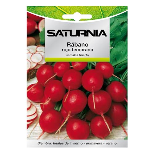 Semillas Rabano Rojo Temprano (8 gramos) Semillas Verduras, Horticultura, Horticola, Semillas Huerto.