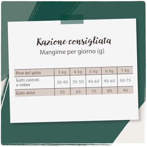 Venandi Animal Salmone come Mangime Secco, Senza Cereali, 1500 g - 5