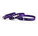 Wagtime Club Reflective Dog Collar with Buckle Quick Release Adjustable Nylon Collar for Small Medium Large Dogs (Medium, Vibrant Purple)