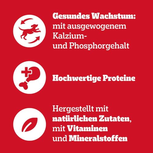 PEDIGREE Junior Multipack Gemischte Selektion in Gelee Hundenassfutter im Portionsbeutel für junge Hunde 4 Varietäten 84 x 100g