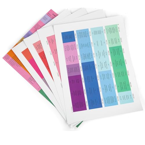 CDXHOME Verbesserte Index-Tabs für DSM-5-TR 2022, 94 gedruckte DSM-V-TR Tabs, insgesamt 100 Register, mit Ausrichtungsanleitung und Beschreibungsblatt für Störungen, laminiert, einfach zu