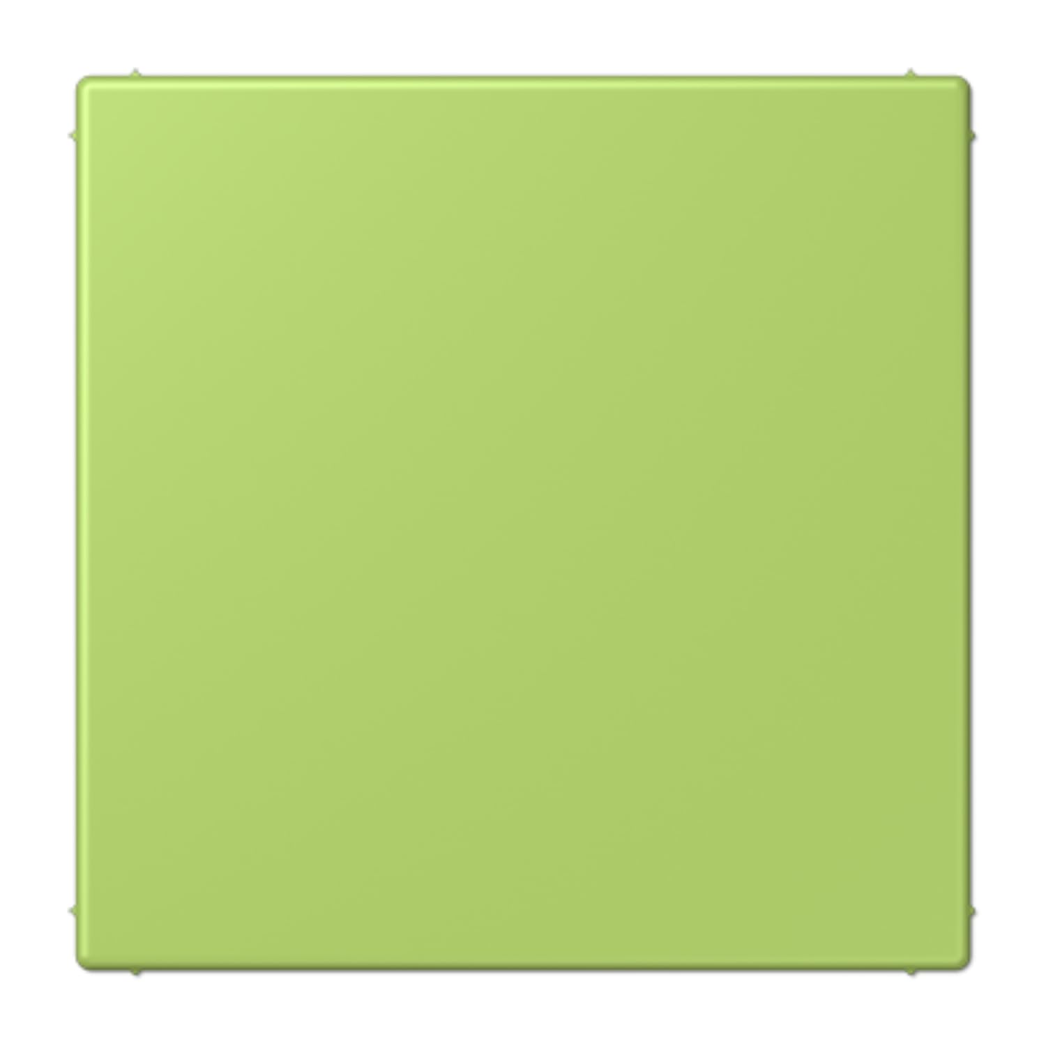 Couvercle aveugle LC32052 JUNG LC994B221 pour masquer les trous muraux