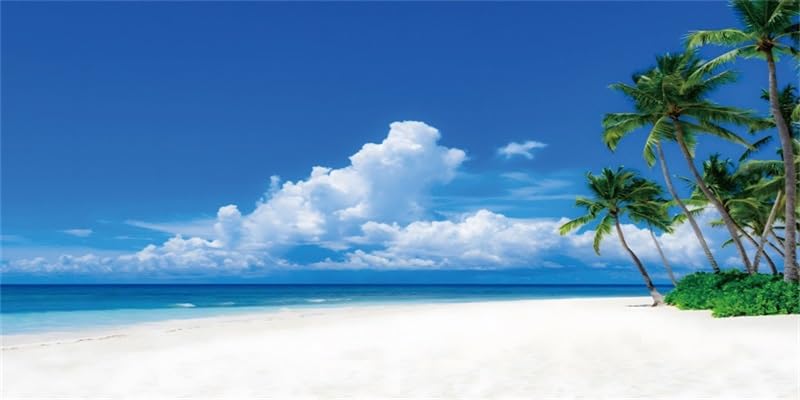 AWERT 72x24 inches Nature Landscape Aquarium Background Beach Coconut Trees Clouds Sea Natural Scenery Fish Tank Background Cloud Sky Summer Scenery Fish Tank Background