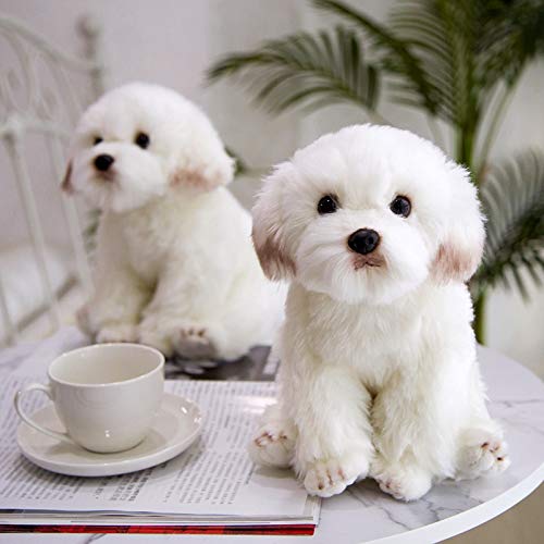 Ymqkx 24 38cm Simulation Maltese Dog Plush Toy Stuffed Animal