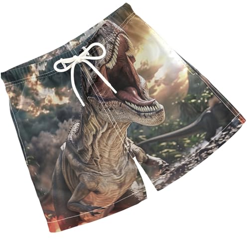 Pigsaly Boys Swim Trunks Jurassic Dinosaurs 3D Fire Boys Board Shorts Swimsuit Swimwear Summer Bathing Suit XS